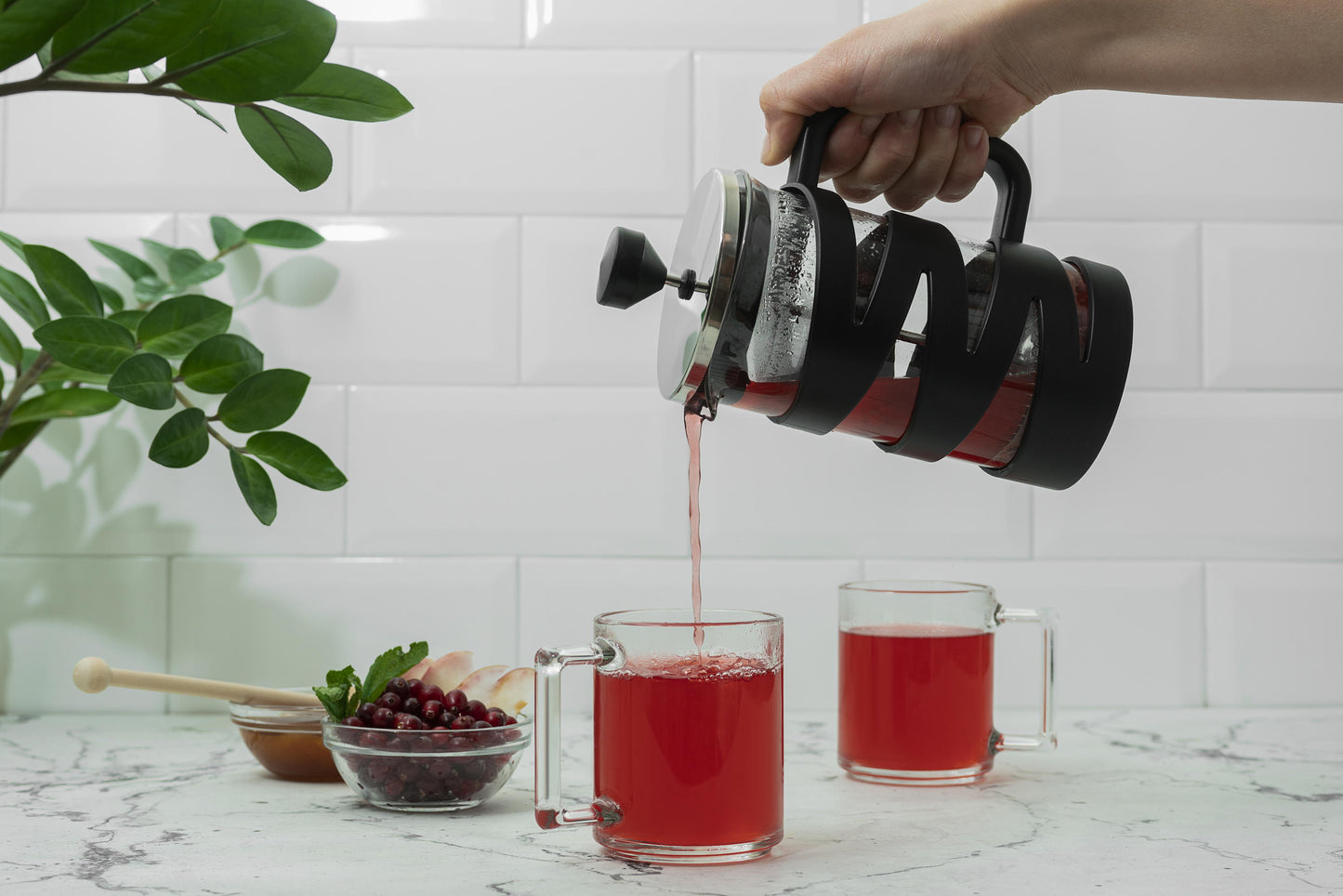 Ardesto French press Gemini, 600 ml, stainless steel, glass, plastic