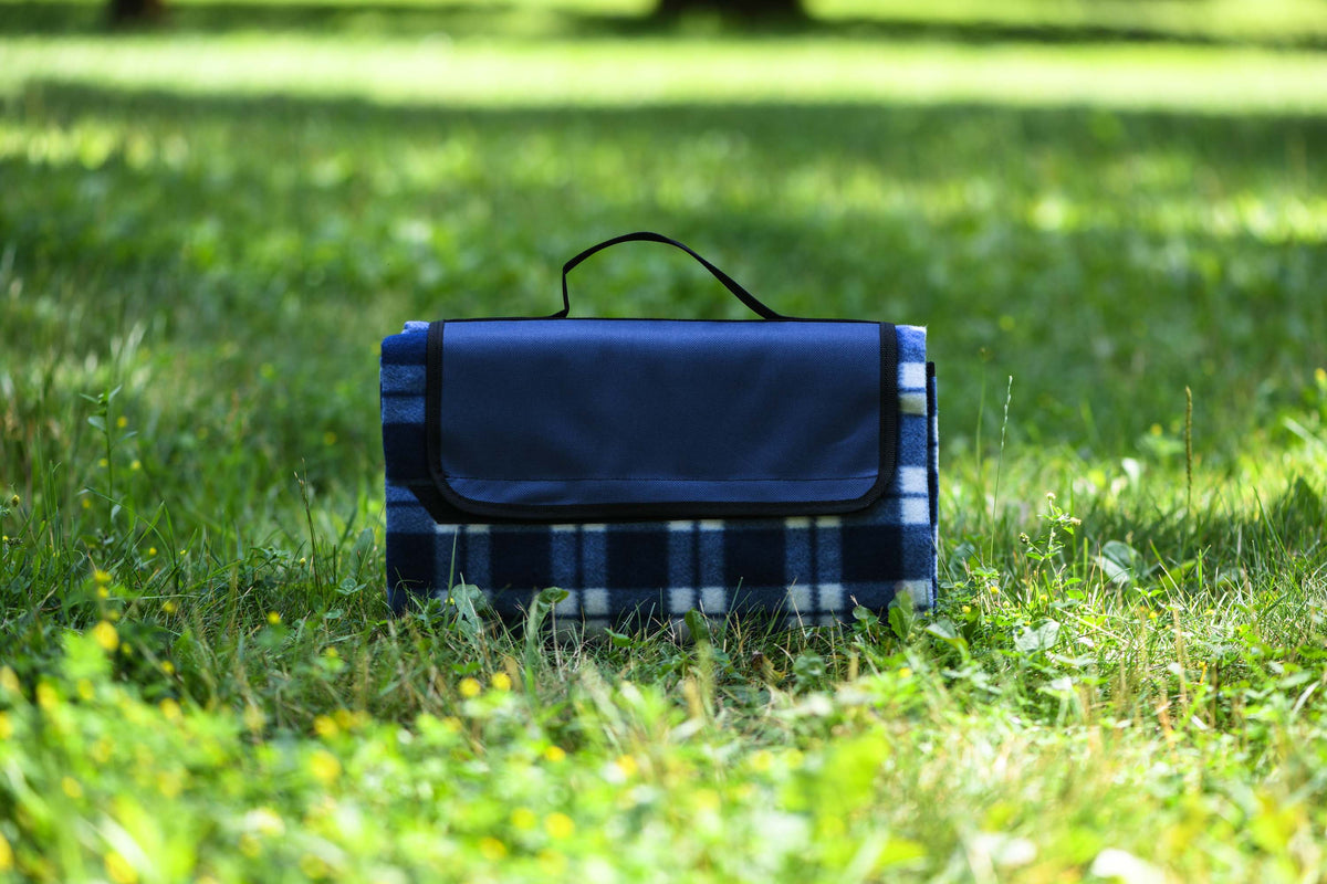 Ardesto Blanket Picnic 130х170cm, 100% polyester, blue tartan