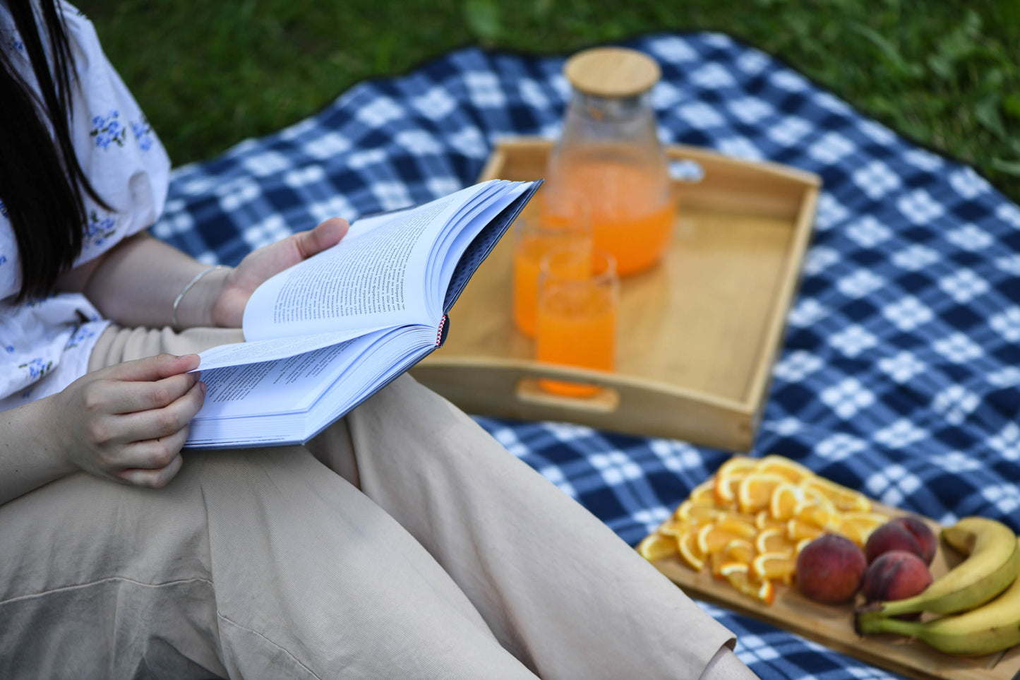 Ardesto Blanket Picnic 130х170cm, 100% polyester, blue tartan