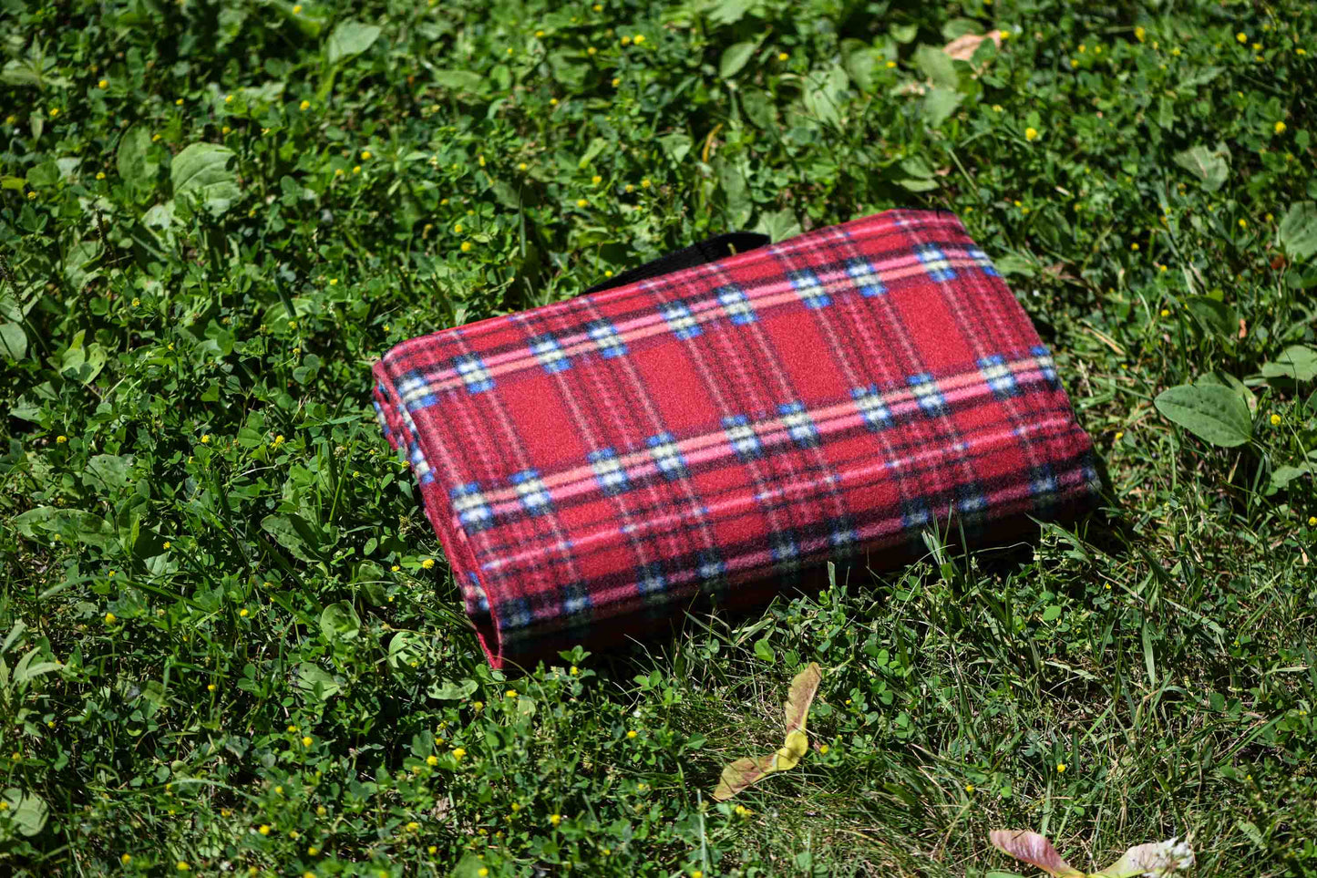 Ardesto Blanket Picnic 130х170cm, 100% polyester, red tartan