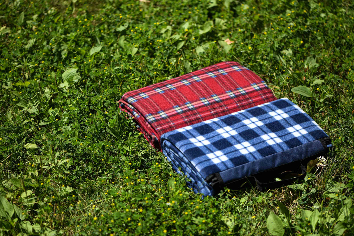 Ardesto Blanket Picnic 130х170cm, 100% polyester, red tartan